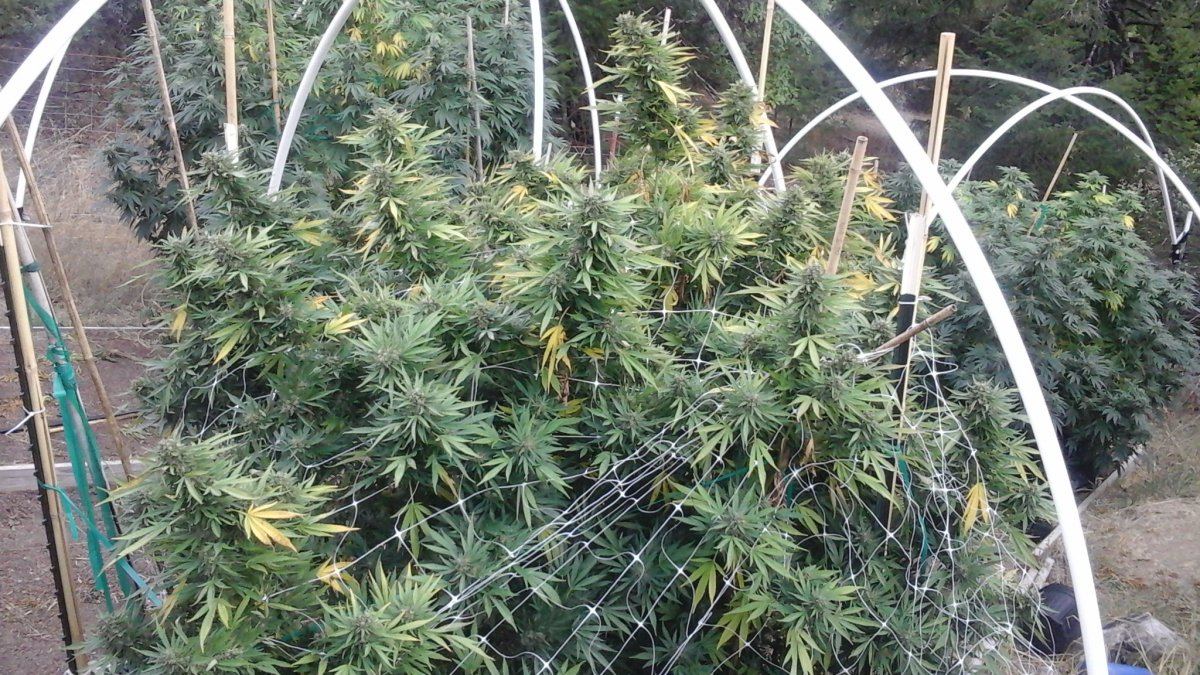 20151008 075712
