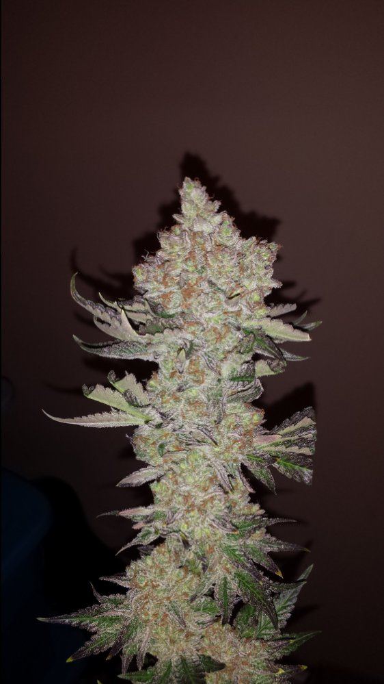 20151009 200642