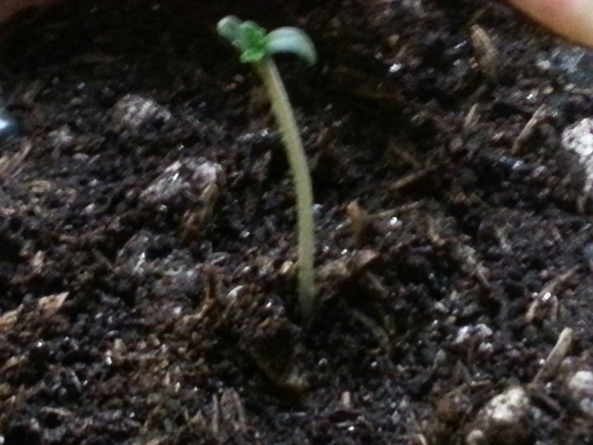 20151014 083228 resized