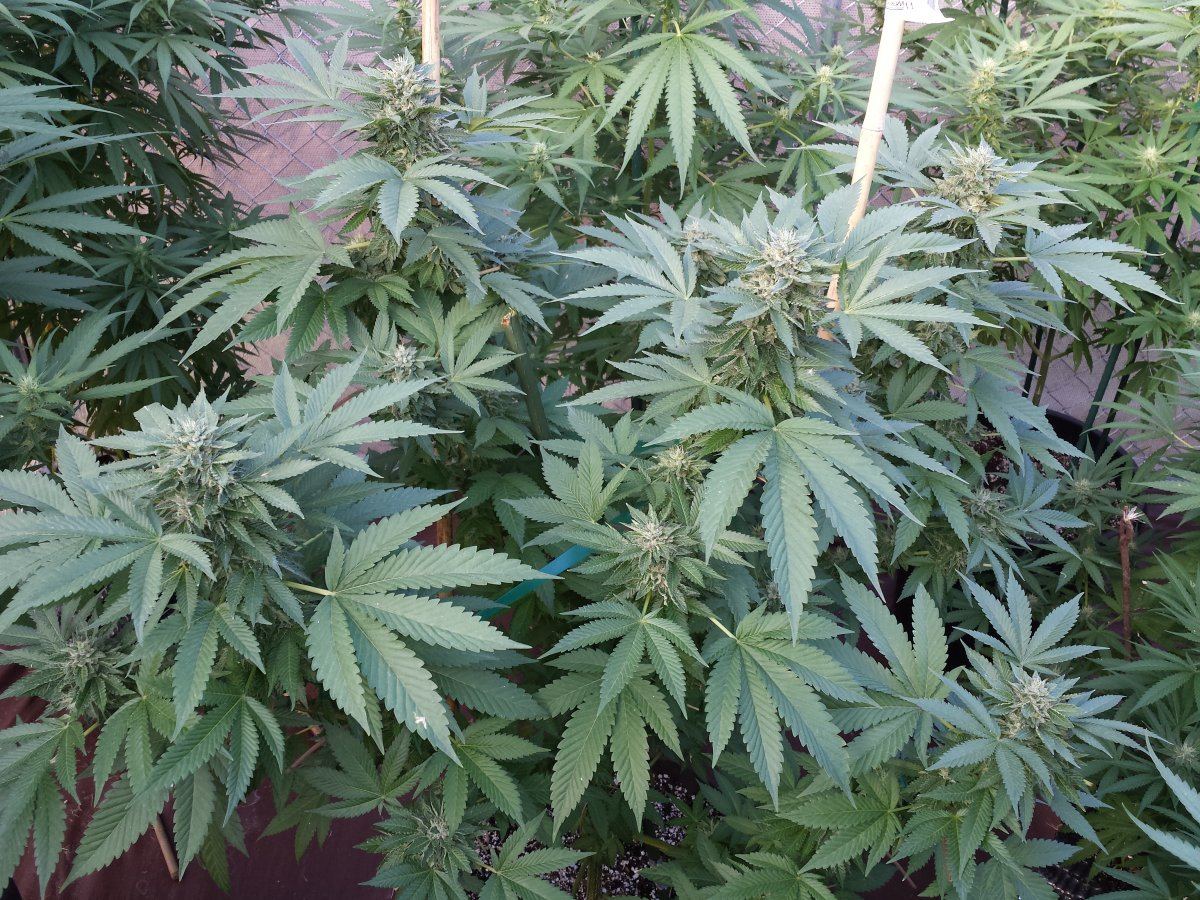 20151014 165525