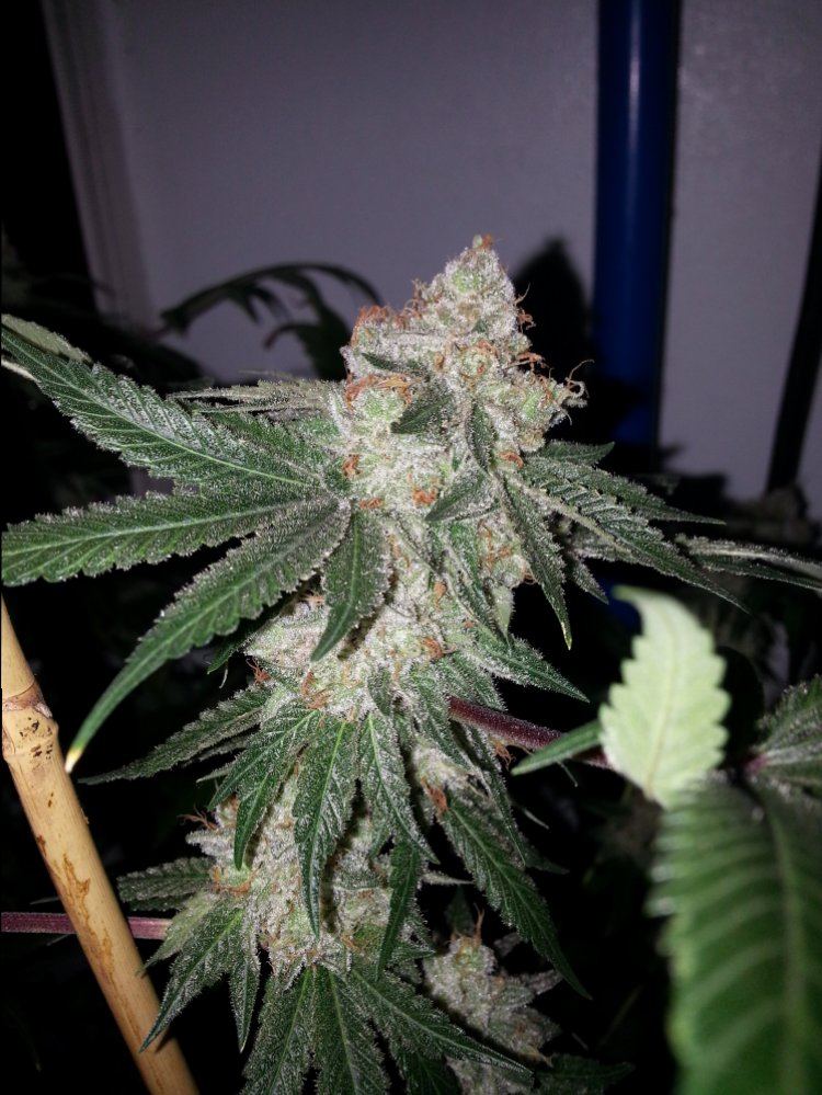 20151015 175804