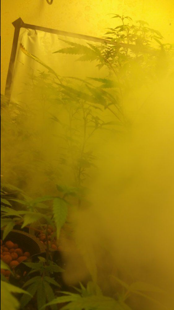 20151017 213719