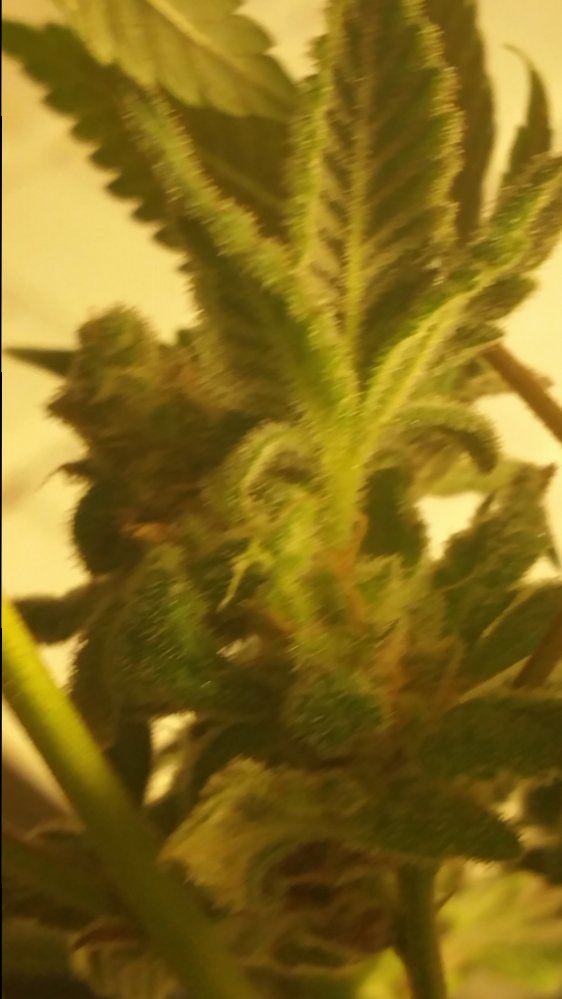 20151021 072759