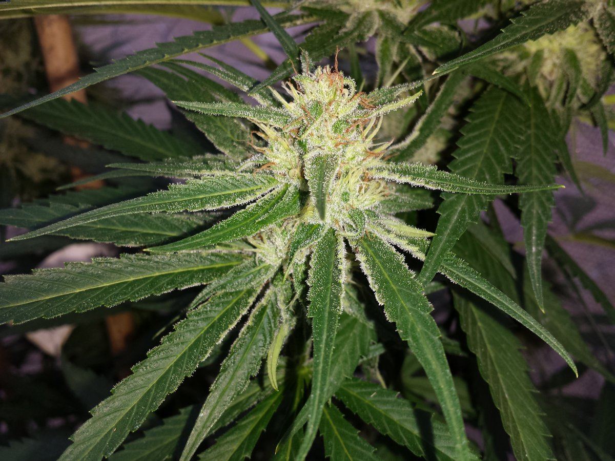 20151022 161856