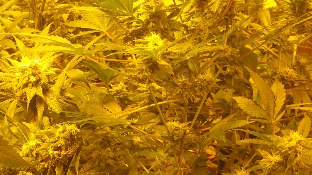 20151113 203102