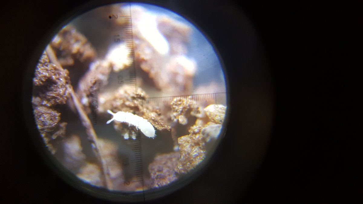 20151210 151355