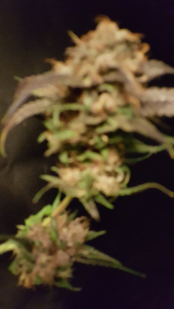 20151215 172921