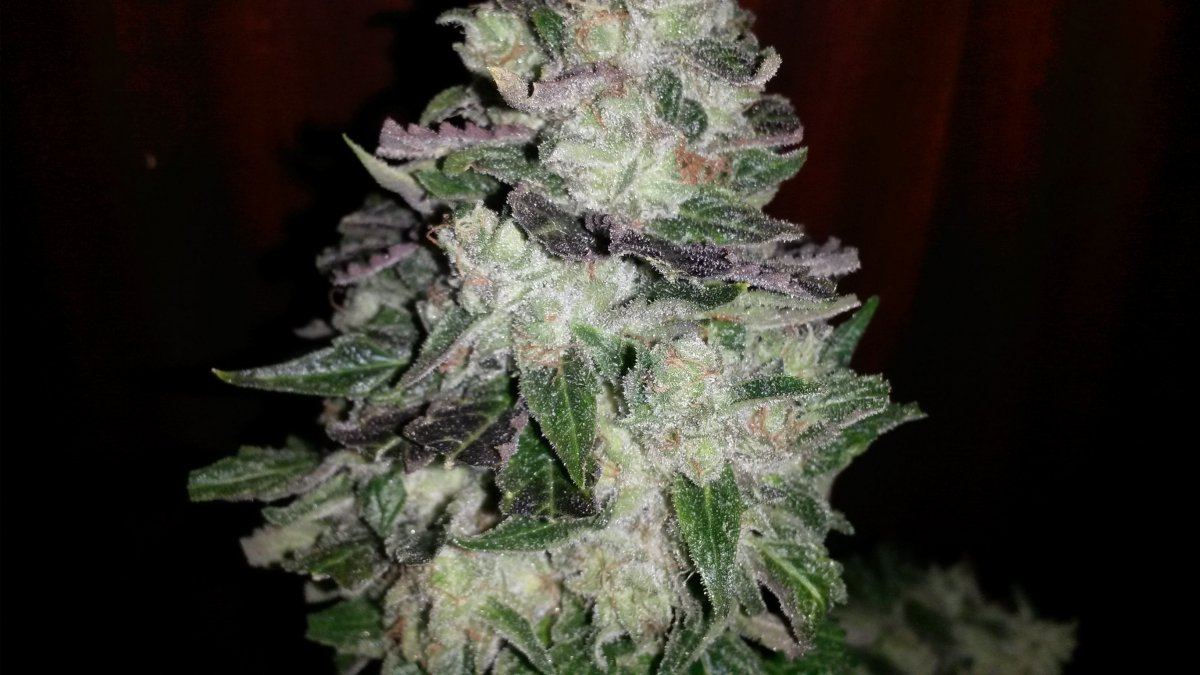 20151215 173437