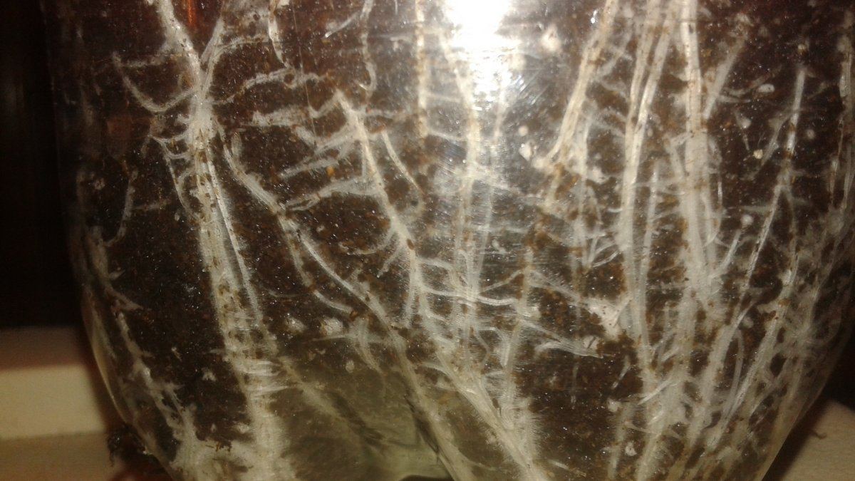 20151221 183241