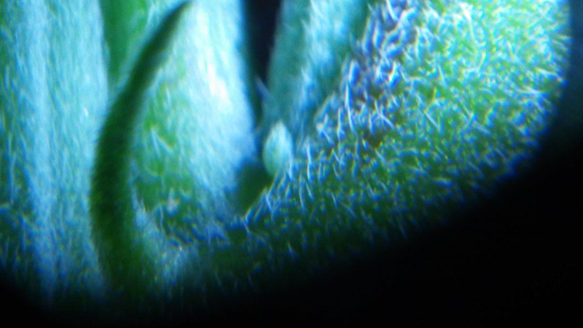 20151229 210951