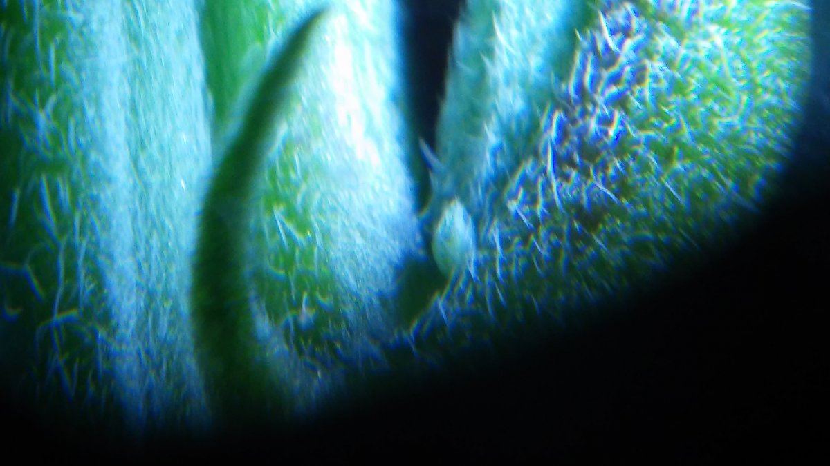 20151229 210959