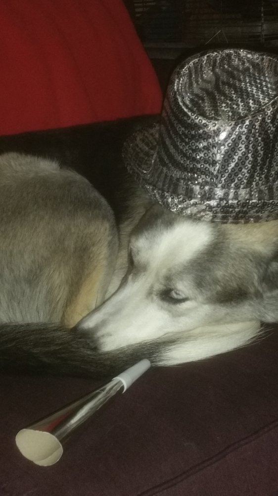 20151231 235309