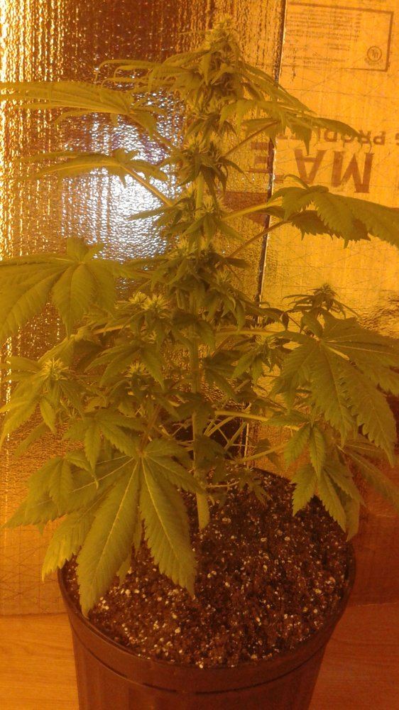 20160102 130519