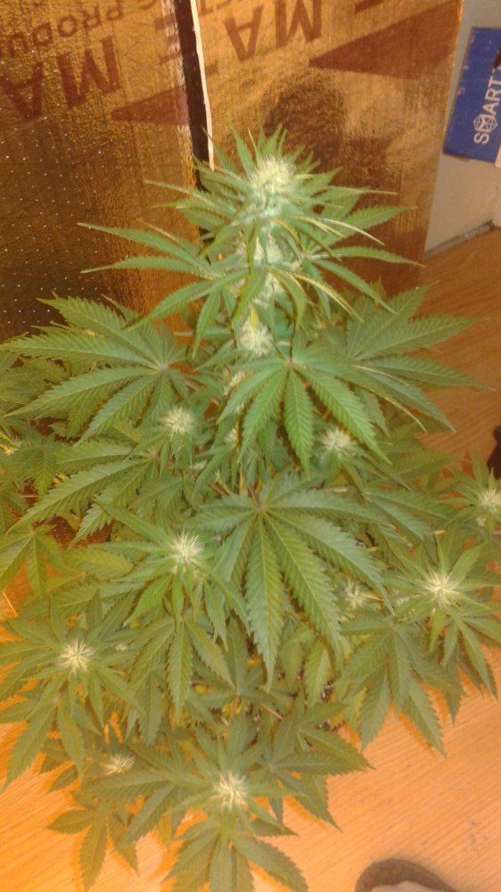 20160102 131224