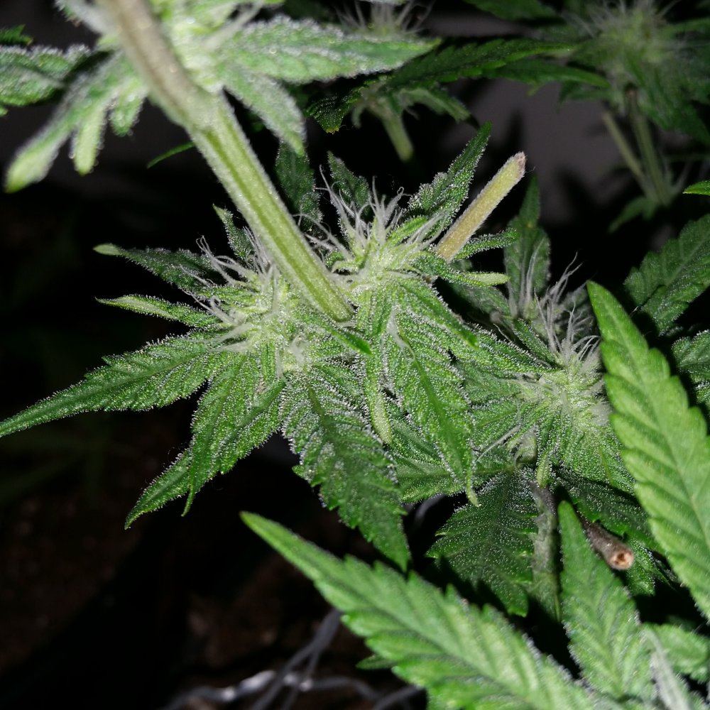 20160108 185521