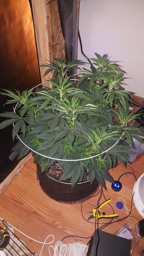 20160112 120622