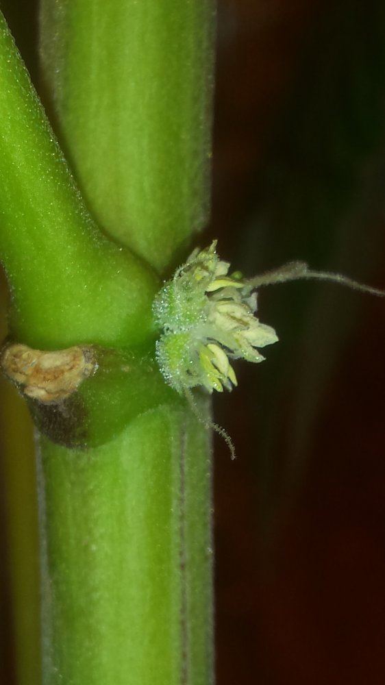 20160115 093240