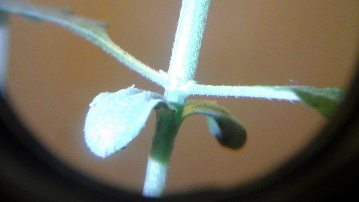 20160124 214650