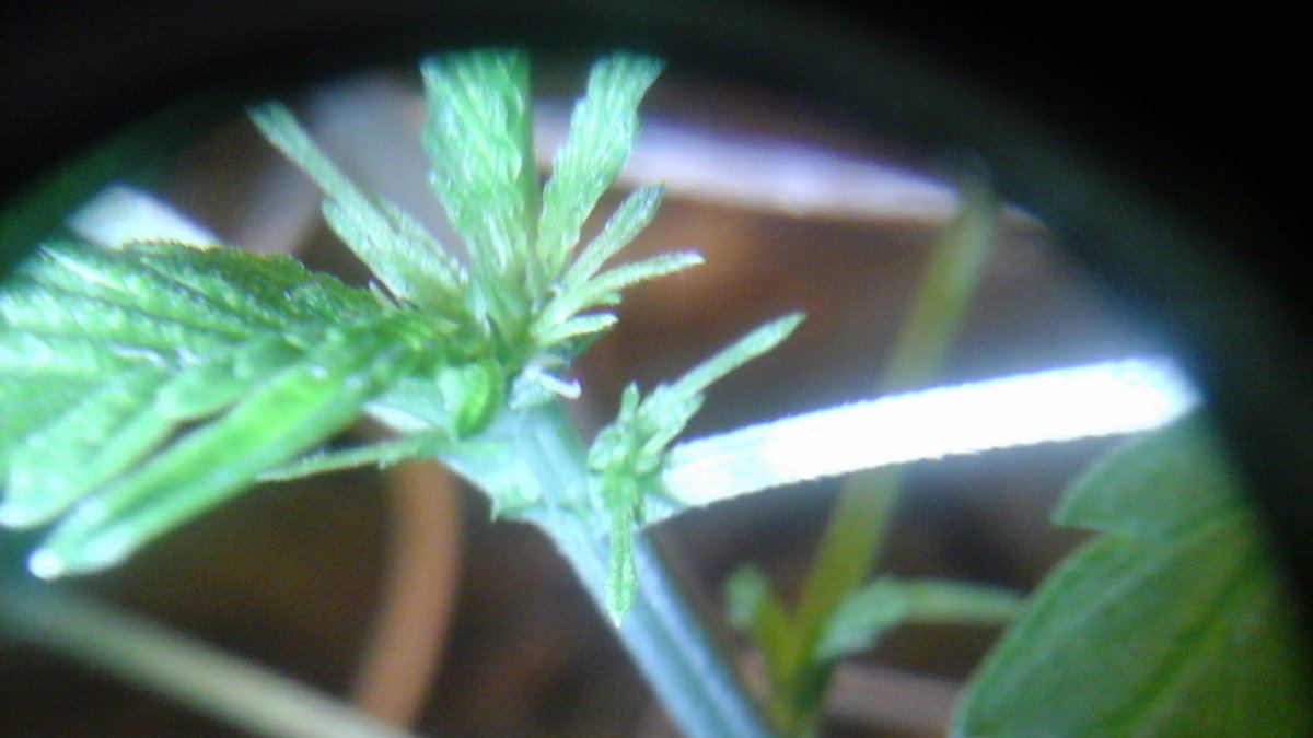 20160129 101415