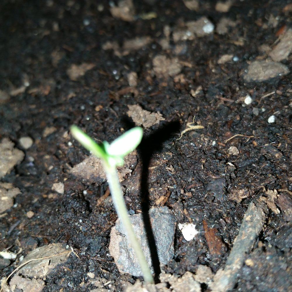 20160202 185331