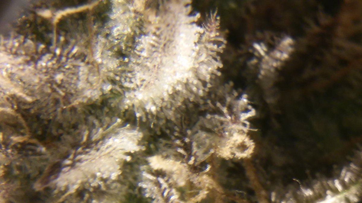 20160214 142837
