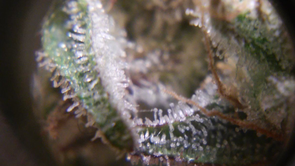 20160214 143029