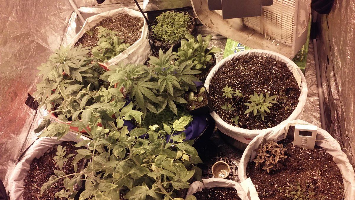 20160214 151611