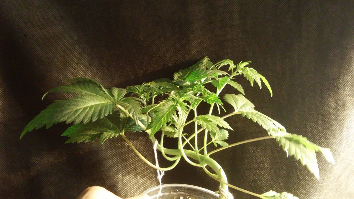 20160221 155711