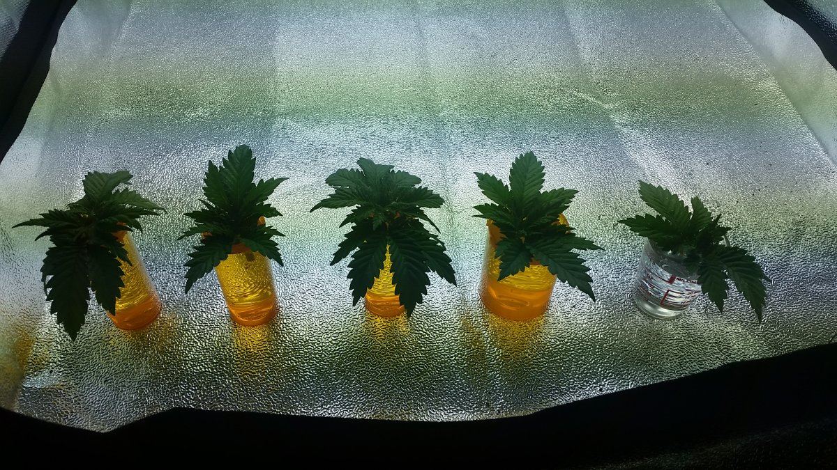 20160222 015552