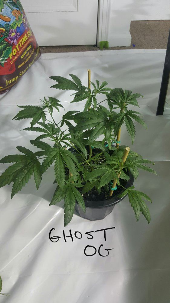 20160224 210052 1