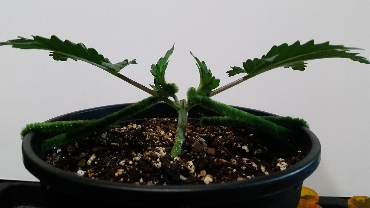 20160225 154149