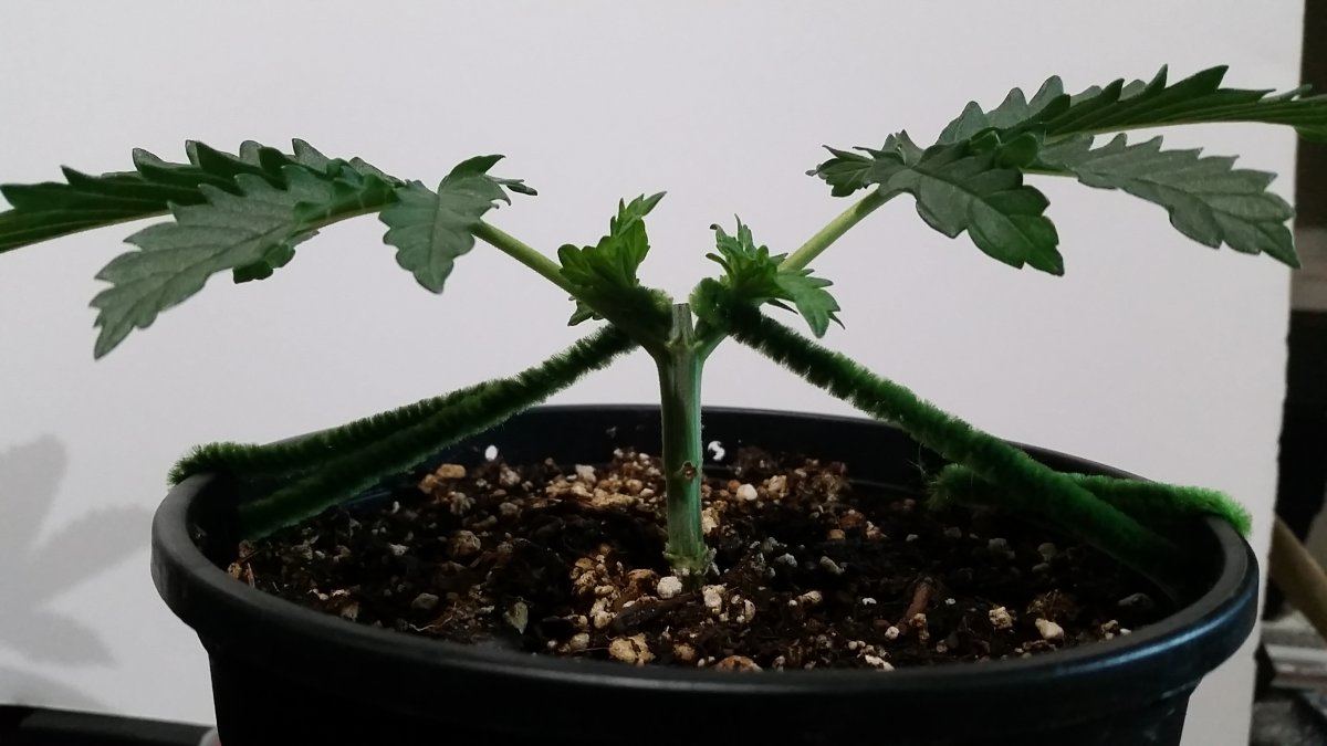 20160225 155113