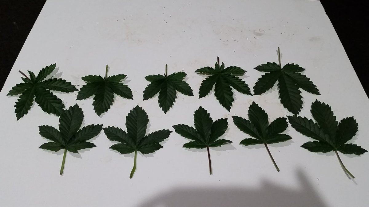 20160226 222032