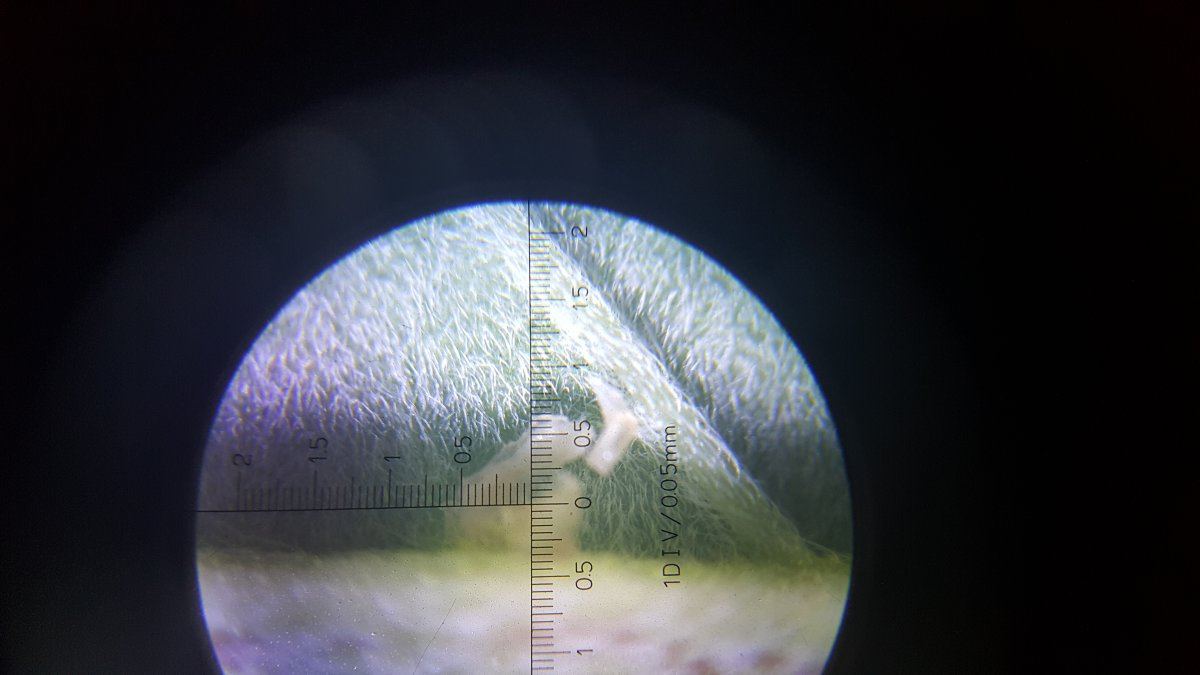 20160302 170224