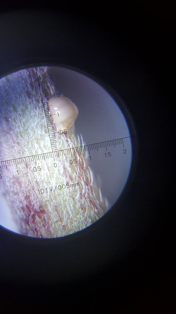 20160302 170412