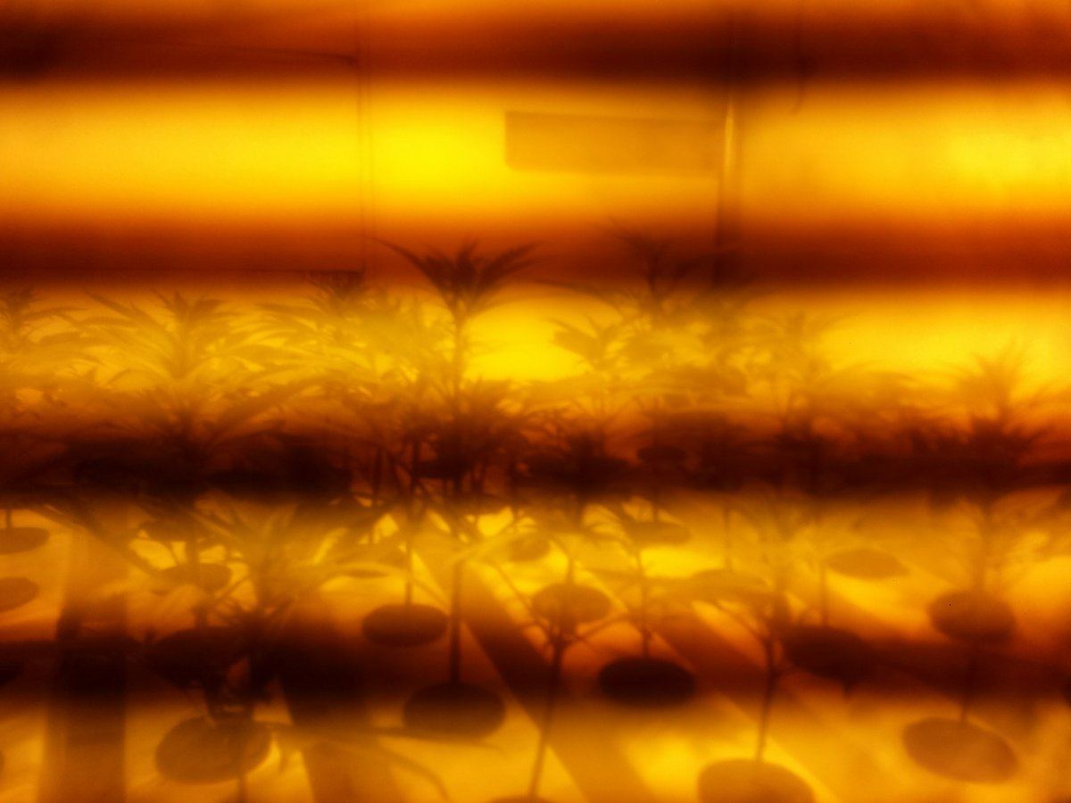 20160304 174426504