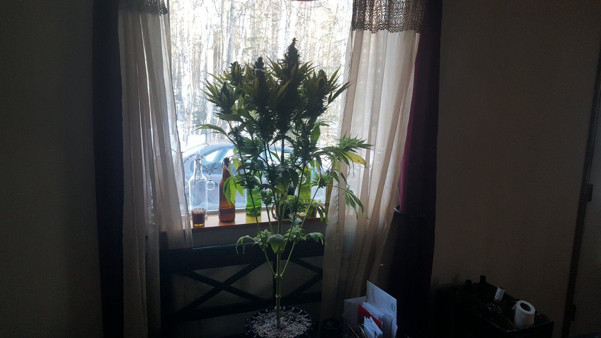 20160306 170457