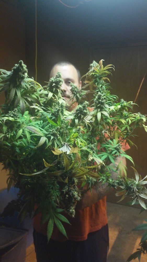 20160309 010728