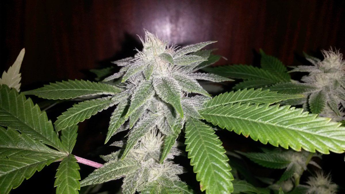 20160312 205604