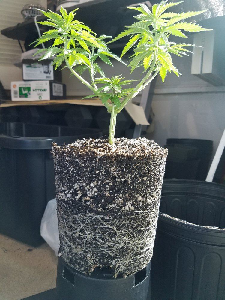 20160318 193312