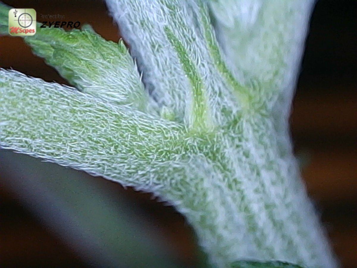 20160322 164800