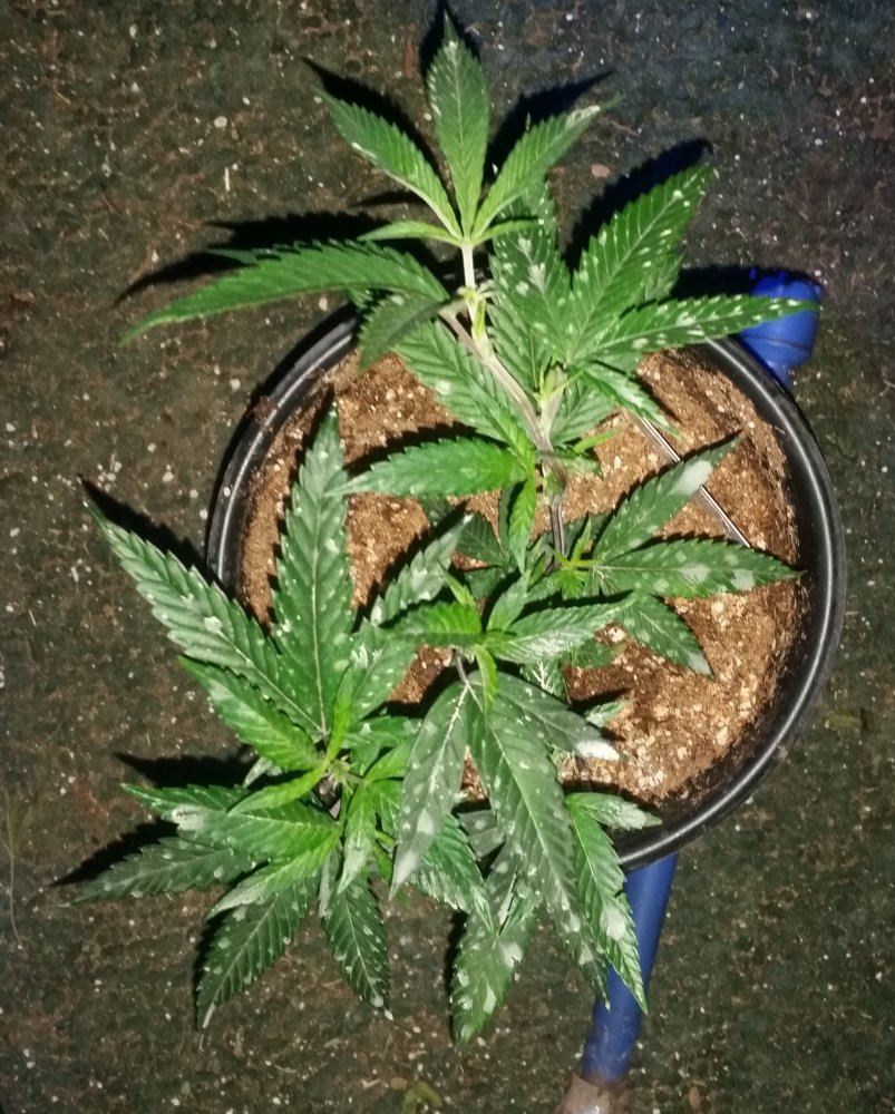 20160329 110420
