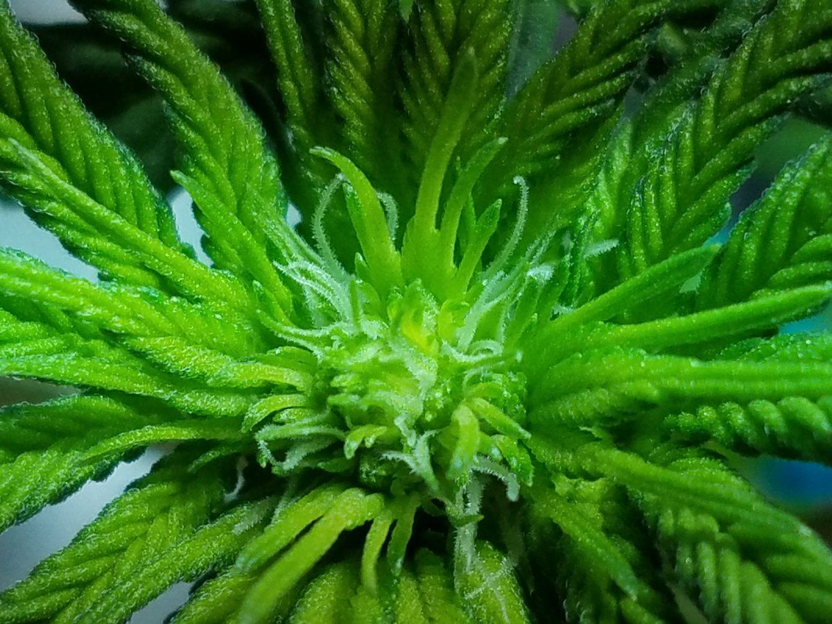 20160329 204809