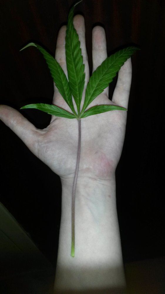 20160404 214944