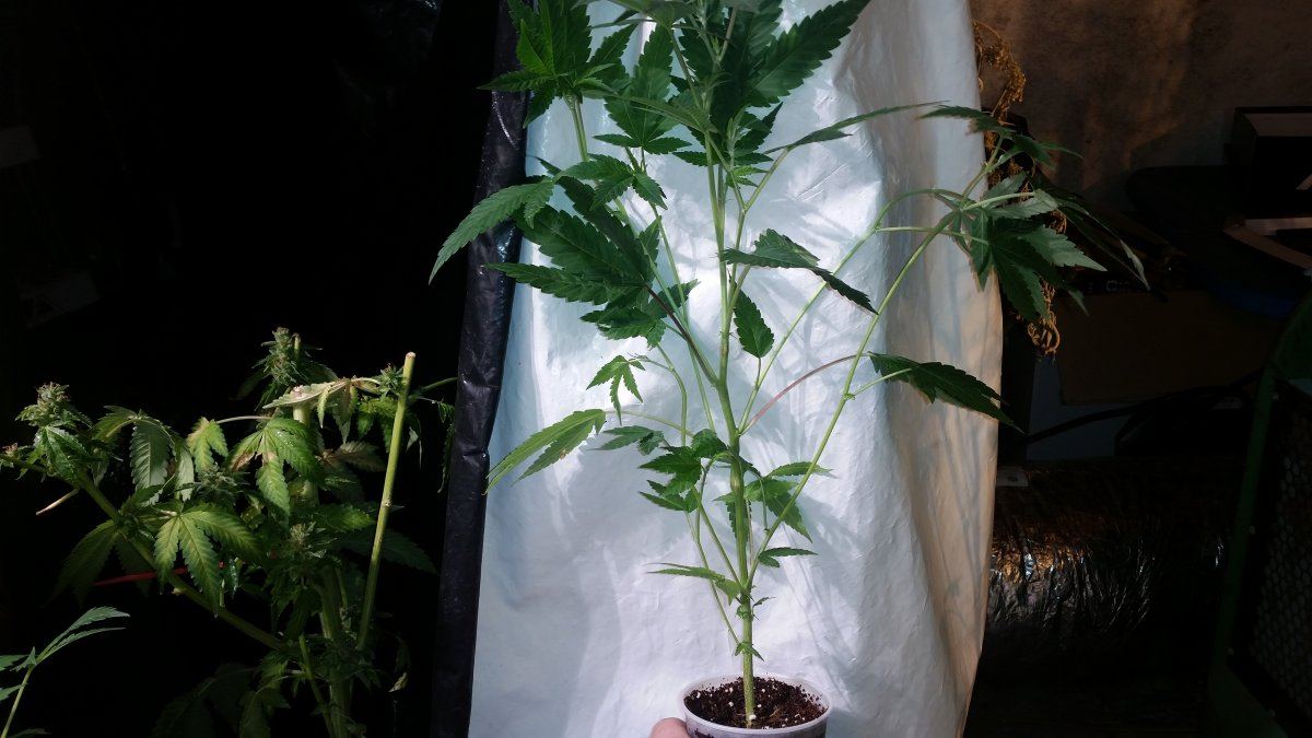 20160405 214115