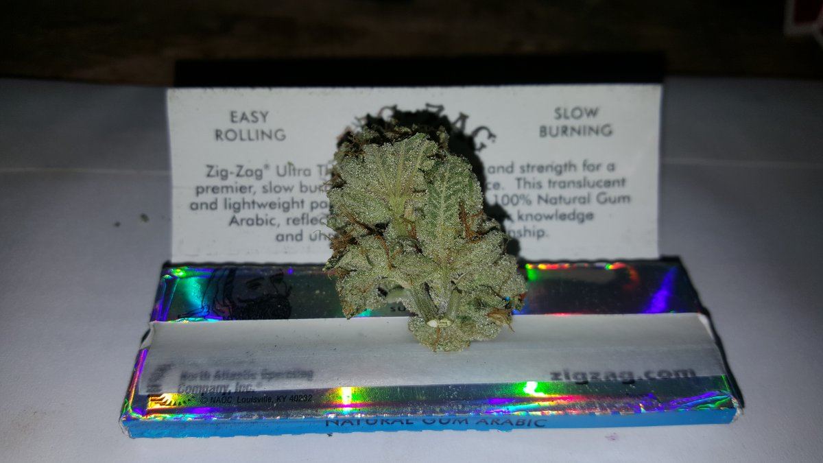 20160412 115016