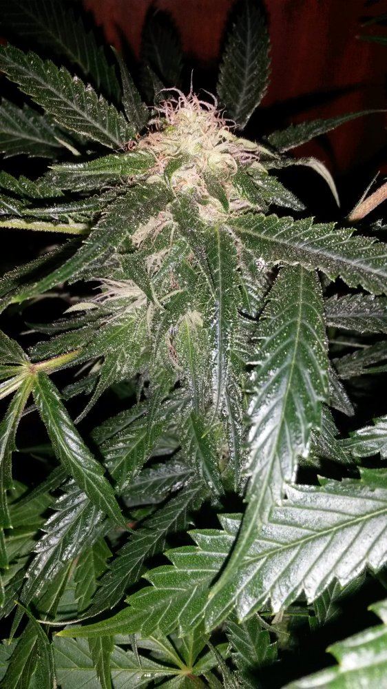 20160414 203528