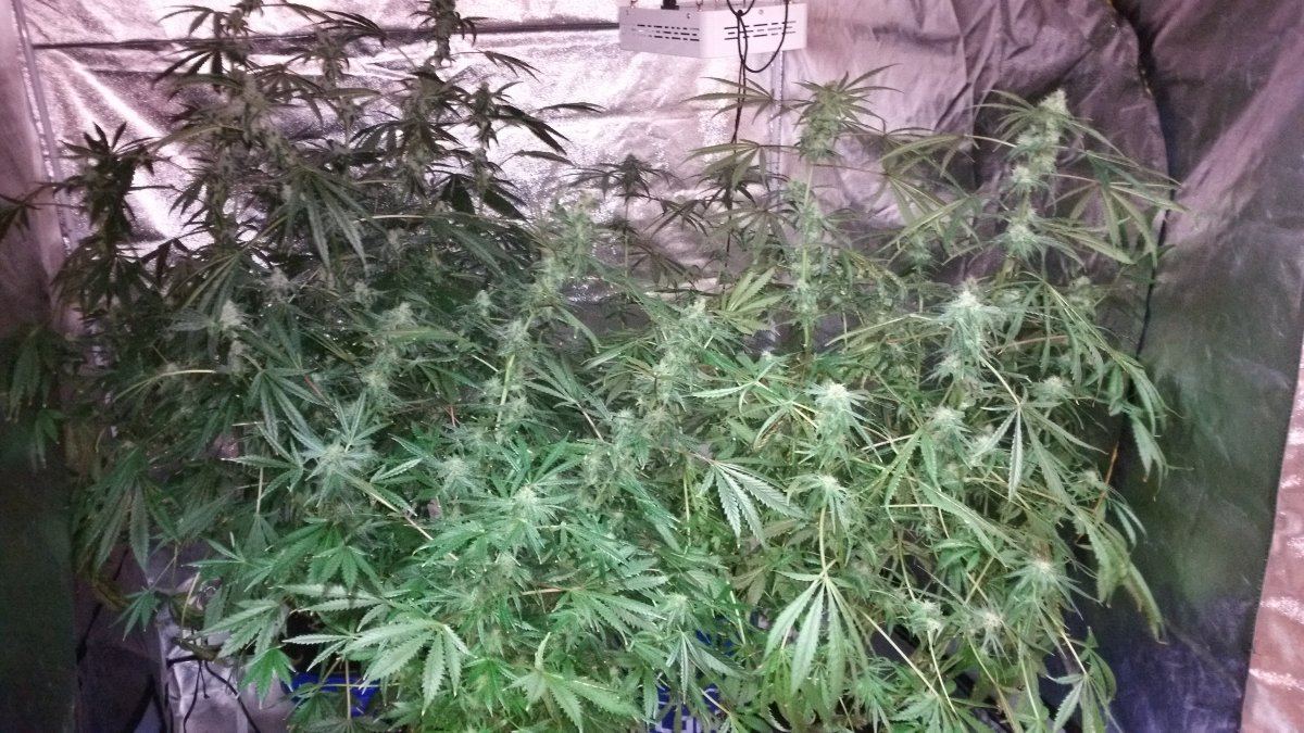 20160416 210137