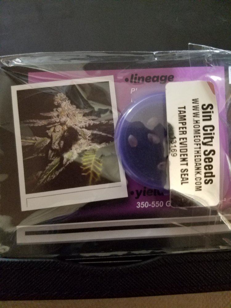 20160421 181813