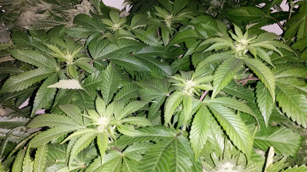 20160427 084701